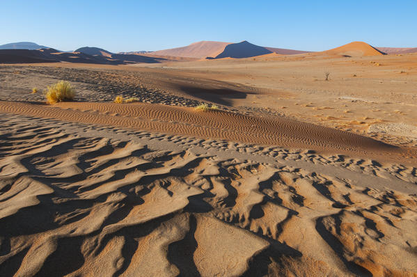 Sossusvlei, Namib desert, Namibia, Africa.