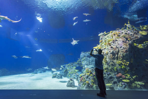 Kastrup, Copenhagen, Hillerod, Denmark. National Aquarium or Blue Planet (Den Bla Planet).