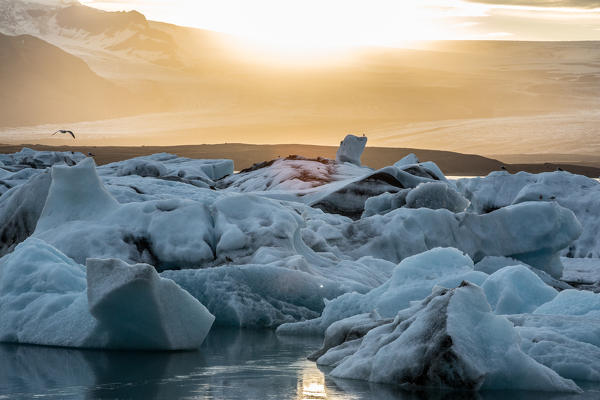 Iceland, Jokulsarlon Glacier Lagoon, icebergs and ice chunk at sunset