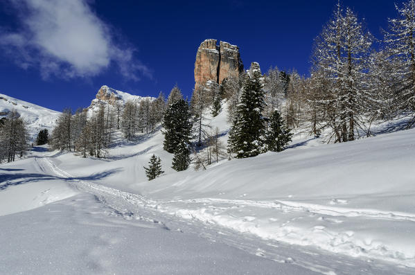 Cinque Torri, Falzarego Pass, Cortina d'Ampezzo, Dolomiti, Dolomites, Veneto, Italy. Cinque Torri