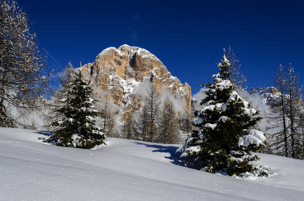 Tofana di Rozes, Falzarego Pass, Cortina d'Ampezzo, Dolomiti, Dolomites, Veneto, Italy. Tofana di Rozes