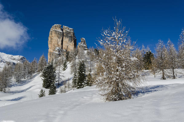 Cinque Torri, Falzarego Pass, Cortina d'Ampezzo, Dolomiti, Dolomites, Veneto, Italy. Cinque Torri