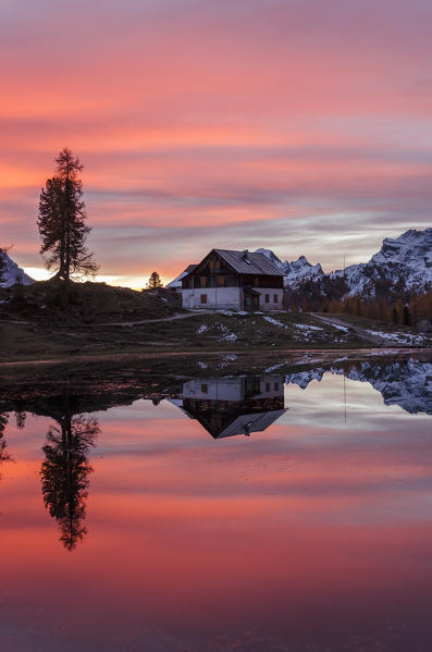 Croda da Lago, Cortina d'Ampezzo, Belluno, Veneto, Italy. Palmieri refuge