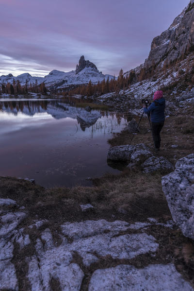 Croda da Lago, Cortina d'Ampezzo, Belluno, Veneto, Italy. Photographer at Croda da Lago