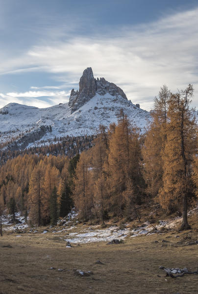 Becco di mezzodi, Croda da Lago, Cortina d'Ampezzo, Belluno, Veneto, Italy.  Becco di mezzodi