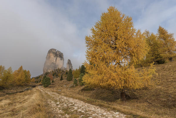 Cinque Torri, Falzarego Pass, Cortina d'Ampezzo, Dolomiti, Dolomites, Veneto, Italy. Cinque Torri.