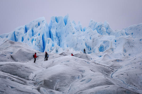 Argentina,Patagonia,Santa Cruz province,Los Glaciares National Park,hikers on the Perito Moreno glacier