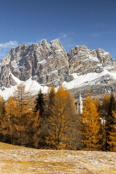 Italy,Veneto,Belluno district,the autumn larch trees frame the bell tower of Cortina d'Ampezzo