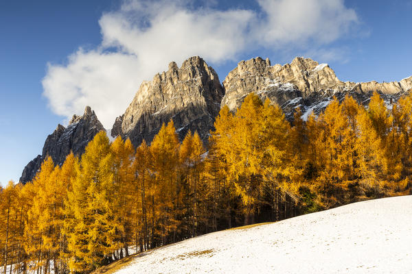 Italy, Veneto, Belluno district, Cortina d'Ampezzo, the warm light at sunset lights up the larches