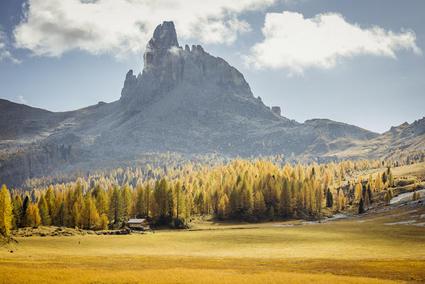 Italy,Veneto,Belluno district,Cortina d'Ampezzo,high mountain pasture areas with Becco di Mezzodì in the background