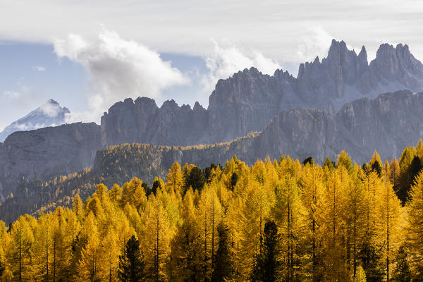 Italy,Veneto,Belluno district,the Croda da Lago group surrounded by larch trees in autumnal garment