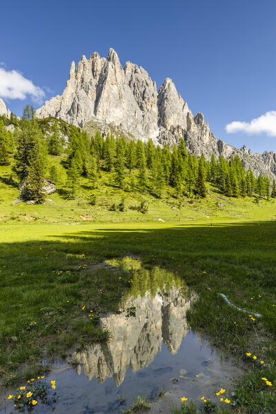 Italy, Veneto, Belluno province, Auronzo di Cadore, Cadini di Misurina are reflected in a mountain stream