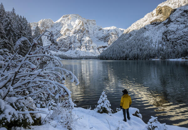 Italy, South Tyrol, Bolzano province, hiker admires Croda del Becco from the shores of Braies lake (MR)