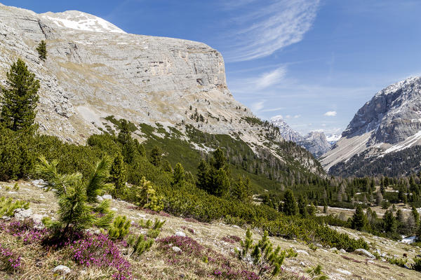 View of Fanes Valley with mount Col Bechei,Cortina d'Ampezzo,Belluno district,Veneto,Italy,Europe