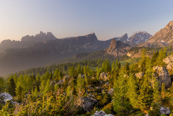 Mountain forest lit by the first rays of the day,Cortina d'Ampezzo,Belluno district,Veneto,Italy,Europe