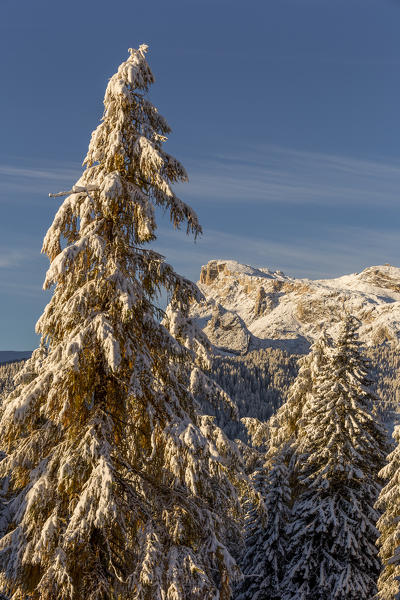 Premature snowfall in the Dolomites,Cortina d'Ampezzo,Belluno district,Veneto,Italy,Europe