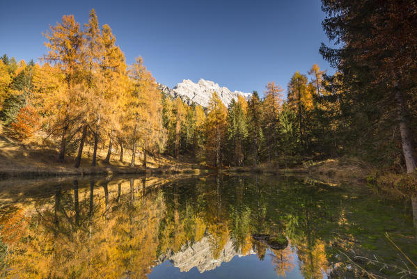 The mirror into the woods,Cortina d'Ampezzo,Belluno district,Veneto,Italy,Europe