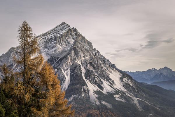 Mount Antelao in autumn,San Vito di Cadore,Boite Valley,Belluno district,Veneto,Italy,Europe