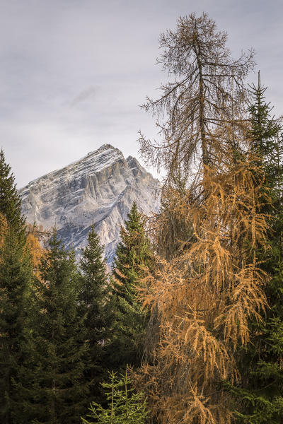 Mount Antelao in autumn,San Vito di Cadore,Boite Valley,Belluno district,Veneto,Italy,Europe