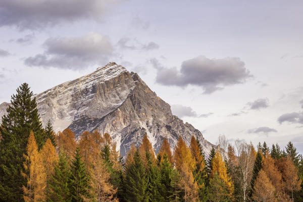 Mount Antelao in autumn,San Vito di Cadore,Boite Valley,Belluno district,Veneto,Italy,Europe