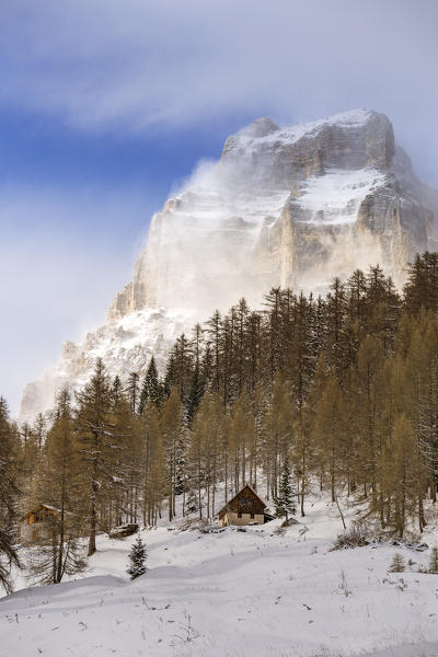 Mount Pelmetto after a snowfall,Coi di Zoldo,Belluno district,Veneto,Italy,Europe