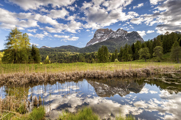 Mount Pelmo reflected in a pond,San Vito di Cadore,Belluno district,Veneto,Italy,Europe