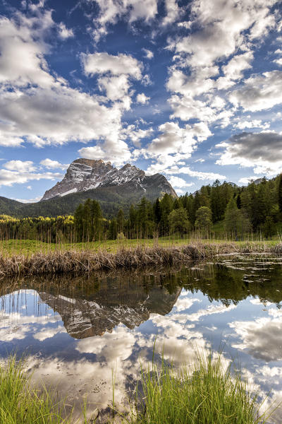 Mount Pelmo reflected in a pond,San Vito di Cadore,Belluno district,Veneto,Italy,Europe