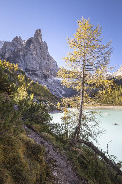 Sorapis lake during fall season,Cortina d'Ampezzo,Belluno district,Veneto,Italy,Europe