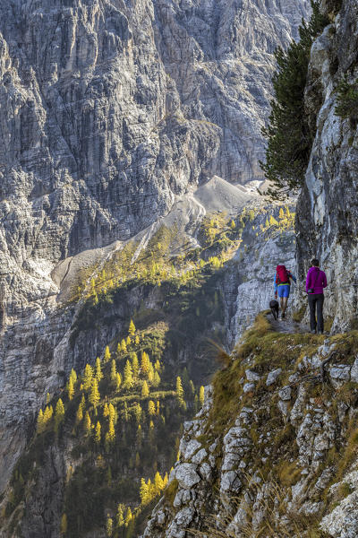 The scenic trail to the Sorapis lake,Cortina d'Ampezzo,Belluno district,Veneto,Italy,Europe