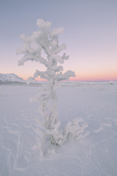 Sunrise in the Abisko National Park,Kiruna,Sweden,Europe