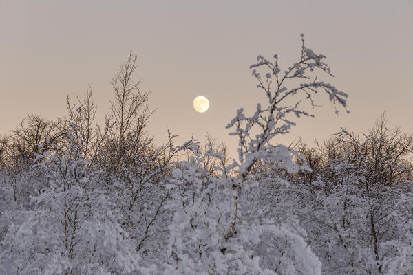 The full moon rises in the cold of the Swedish Lapland,Abisko,Kiruna,Sweden,Europe
