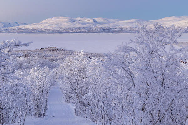 Winter twilight at Abisko,Kiruna,Sweden,Europe