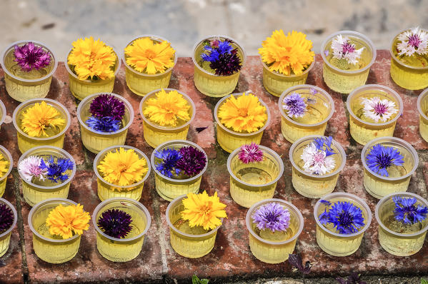 Offers of flowers,Bouddhanath,Kathmandu, Nepal,Asia