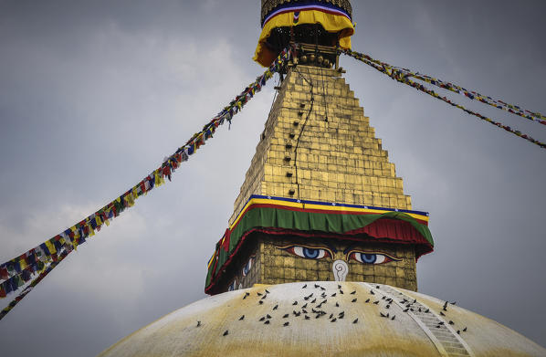 Bouddhanath stupa with pigeons,Kathmandu, Nepal,Asia