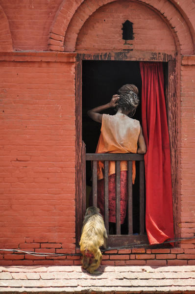 A monkey looks for food without being discovered,Pashupatinath Temple,Kathmandu,Nepal,Asia