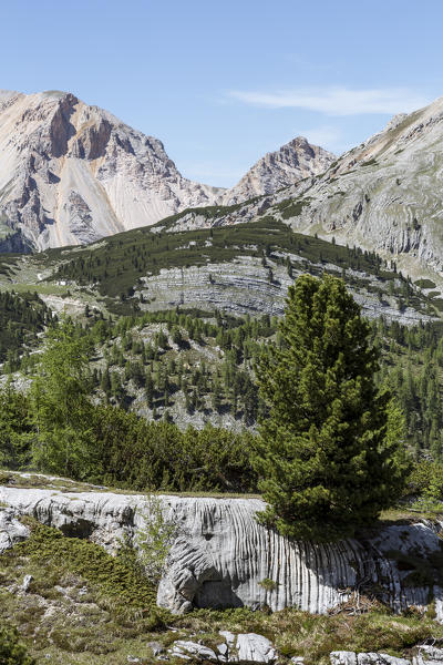 Italy,South Tyrol,Bolzano district,San Vigilio di Marebbe,View of Fanes valley on the return path from the top of Croda del Vallon Bianco