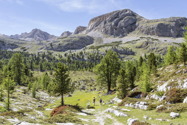 Italy,South Tyrol,Bolzano district,San Vigilio di Marebbe,The characteristics layers of Mount Sass da Bech