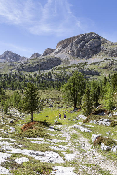 Italy,South Tyrol,Bolzano district,San Vigilio di Marebbe,The characteristics layers of Mount Sass da Bech