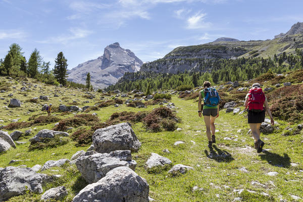 Italy,South Tyrol,Bolzano district,San Vigilio di Marebbe, Hikers in Fanes valley with Mount Piz Taibun in the background