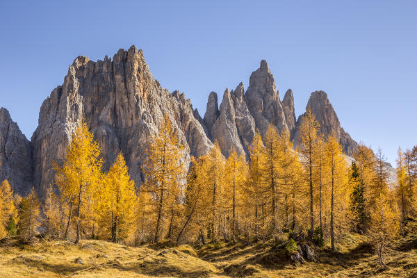 The west walls of Mount Croda da Lago,Giau Pass,Belluno district,Veneto,Italy