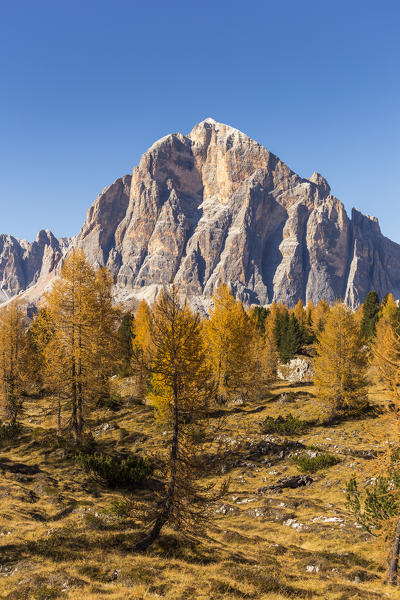 The famous south wall of the Tofana di Rozes,Falzarego Pass,Belluno district,Veneto,Italy