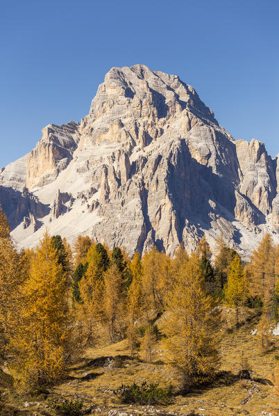 Mount Tofana di Mezzo,Falzarego Pass,Belluno district,Veneto,Italy
