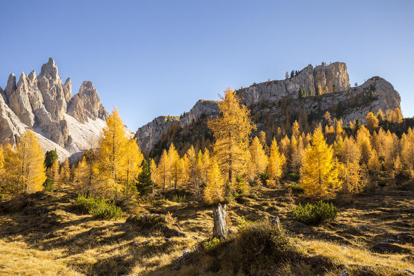 Mount Croda da Lago and Lastoni di Formin,Giau Pass,Belluno district,Veneto,Italy