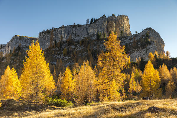 Mount Lastoni di Formin,Giau Pass,Belluno district,Veneto,Italy