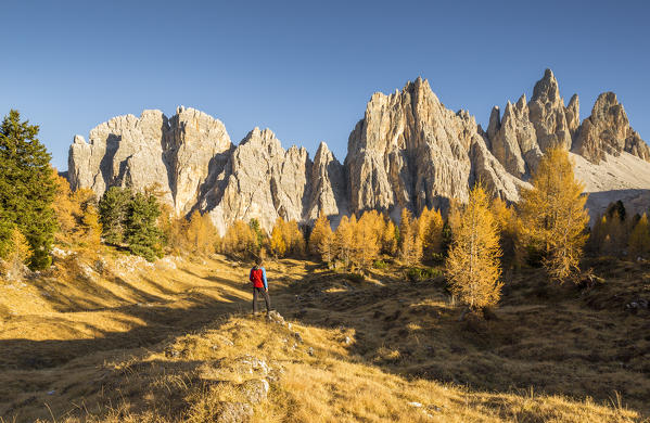 The west walls of Mount Croda da Lago,Giau Pass,Belluno district,Veneto,Italy (MR)