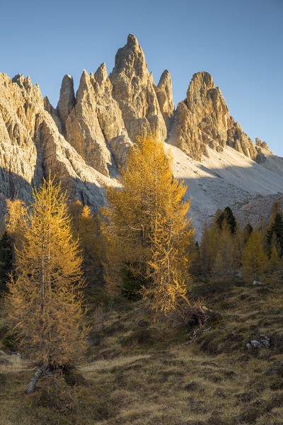 Mount Croda da Lago at sunset,Giau Pass,Belluno district,Veneto,Italy