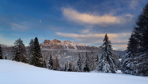 Europe,Italy,Dolomites,Fassa Valley,Trentino.
alpine environment