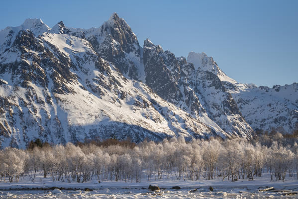 Snowcapped mountains and frosty trees. Vestpollen, Nordland county, Northern Norway region, Norway.