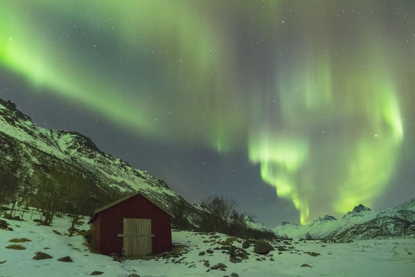 Northern lights over a red cabin in winter. Kleppstad, Nordland county, Northern Norway, Norway.