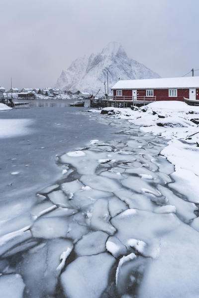 Frozen fjord with red cabin and Olstinden peak in the background. Reine, Nordland, Northern Norway, Norway.